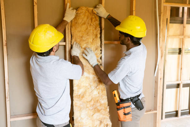 Best Eco-Friendly Insulation Solutions  in Freeport, TX